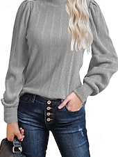billige Kvinne Enkle Topper-Dame Pullover عادي Gatemote Fritid Behagelig Langermet Høyhalset Vanlige topper Gate Ferie Ut på byen Svart Oransje Grå Høst