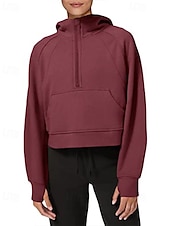 cheap Plain Tops-Women&#039;s Pullover Hoodie Sweatshirt Plain Streetwear Casual Long Sleeve Hooded Regular Tops Street Holiday Zipper Light Pink Black Pink Red Navy Blue Winter