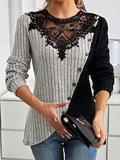 abordables Tops de Encaje-Mujer Blusa Encaje Retazos Color sólido Elegante Básico Casual Manga Larga Cuello Barco Tops regulares Diario Verde Ejército Púrpula Claro Gris Claro Primavera Otoño Invierno