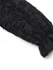 economico Top in Pizzo-Per donna Camicia Semplice Elegante Moderno Manica Lunga Scollo a V Top Regolari Quotidiano Ferie Rete Nero Primavera Autunno
