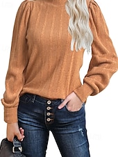 billige Kvinne Enkle Topper-Dame Pullover عادي Gatemote Fritid Behagelig Langermet Høyhalset Vanlige topper Gate Ferie Ut på byen Svart Oransje Grå Høst