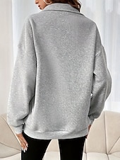 baratos Tops Simples-Mulheres Moletom Tecido Casual Manga Longa Gola Alta Tops regulares Rua Dia a Dia Patchwork Zíper Preto Fúcsia Cinzento Escuro Bege Cinzento Outono Inverno