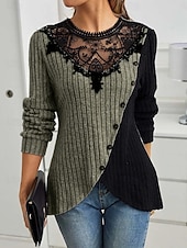 abordables Tops de Encaje-Mujer Blusa Encaje Retazos Color sólido Elegante Básico Casual Manga Larga Cuello Barco Tops regulares Diario Verde Ejército Púrpula Claro Gris Claro Primavera Otoño Invierno