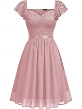 Damskie Sukienka mini Koronkowa sukienka Sukienka koktajlowa Sukienka dla gościa weselnego Szyfon Elegancja Moda Nowoczesny Na zewnątrz Spotkanie towarzyskie Regularny Równina Krótki rękaw W serek tanie Sukienki z szyfonu-Damskie Sukienka mini Koronkowa sukienka Sukienka koktajlowa Sukienka dla gościa weselnego Szyfon Elegancja Moda Nowoczesny Na zewnątrz Spotkanie towarzyskie Regularny Równina Krótki rękaw W serek