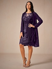  Damskie Koronkowa sukienka Szyfon Koronka Z marszczeniami Półgolf Długi rękaw Sukienka do kolan Spotkanie towarzyskie Elegancja Niebieski Lato Wiosna