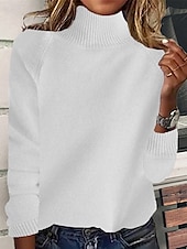 ieftine Culori Solide-Pentru femei Pulover Plover Zilnic Stilat Casual Culoare solidă Striat Guler Pe Gât Tricotat Manșon Lung Topuri obișnuite Tricotat Zilnic Concediu Ieșire Negru Alb Toamnă Iarnă
