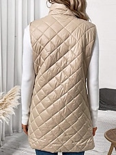 economico Smanicati imbottiti-Per donna Gilet Caldo Confortevole Cerniera Tasca All'aperto Casual Semplice Ferie Weekend Cerniera Lungo Collo alla coreana Vestibilità regolare Senza Maniche Capispalla Nero Albicocca Inverno