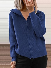 preiswerte Texturierte Kapuzenpullover &amp; Sweatshirts-Damen Wintermantel Bequem Atmungsaktiv Reißverschluss Mode Täglich Einfach Outdoor Lässig Täglich Reisverschluss Regulär Revers Normale Passform Langarm Oberbekleidung Schwarz Weiß Blau Frühling