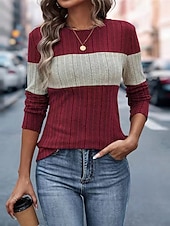 Недорогие Простые блузки-Жен. Вязаная ткань Пуловер Повседневные Стиль На каждый день Контрастных цветов Рельефный узор Вырез под горло Трикотаж Длинный рукав Обычные топы Вязать Повседневные Праздники На выход