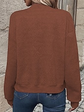 economico Felpe e Sweatshirt Texturizzati-Per donna Giacca Casual Confortevole Traspirante Cerniera Tasca Moda Moderno Casual Semplice Uscire Weekend Cerniera Regolare Collo alla coreana Vestibilità regolare Manica Lunga Capispalla Nero