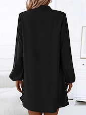 ieftine Rochie simplă-Pentru femei Rochie Mini Rochie casual Modă Clasic Modern În aer liber Vacanță Concediu Fit regulat Simplu Manșon Lung În V Negru Roșu-aprins Maro Trifoi Vară