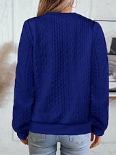 economico Felpe e Sweatshirt Texturizzati-Per donna Felpa con texture Felpe Felpe con cerniera Semplice Streetwear Casual Comodo Manica Lunga Collo Alto Top Regolari Streetwear Ferie Uscire Zip a un quarto Bianco Rosa Vino Rosa scuro Blu
