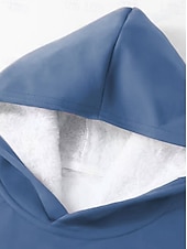 abordables Survêtements pour femmes-Femmes Quotidien Sweat à capuche manche longue À capuche Graphique Lettre Cordon de serrage Imprimé Occasionnel Quotidien Rose Claire Bleu Gris Automne Coupe Ample