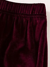 billiga Blusdräkter för kvinnor-Dam Aktiv Streetwear Blus Huvtröja Byxuppsättningar Långärmad Huva Ensfärgat Rynkad Semester Dagliga kläder Rodnande Rosa Vin Blå Höst Normal