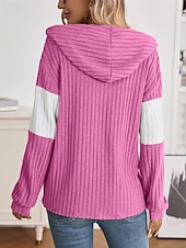 billiga Texturerade Huvtröjor &amp; Sweatshirts-Dam Vinterkappa Bekväm Andningsfunktion Dragkedja Stickad Mode Dagligen Färgblock Utomhus Ledigt Dagligen Dragkedja Normal Huva Normal Långärmad Ytterkläder Svart Rodnande Rosa Grön Vår Höst