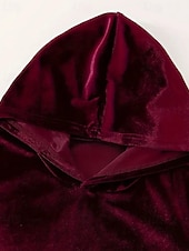 billiga Blusdräkter för kvinnor-Dam Aktiv Streetwear Blus Huvtröja Byxuppsättningar Långärmad Huva Ensfärgat Rynkad Semester Dagliga kläder Rodnande Rosa Vin Blå Höst Normal