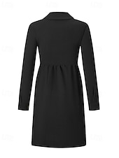 ieftine Rochie simplă-Pentru femei Rochie Mini Rochii Tip Cămașă Clasic Modern În aer liber Vacanță Sfârșit de săptămână Fit regulat Simplu Manșon Lung Guler Cămașă Negru Albastru piscină Mov Kaki Toamnă