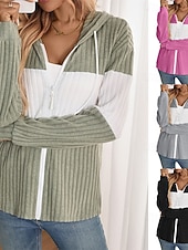 preiswerte Freizeitjacken-Damen Kapuzenjacke Bequem Patchwork Reißverschluss Lässig Farbblock Ausgehen Wochenende Reisverschluss Regulär Mit Kapuze Normale Passform Langarm Oberbekleidung Schwarz Hellgrün Rosenrot Herbst