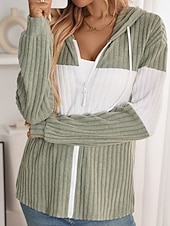 preiswerte Freizeitjacken-Damen Kapuzenjacke Bequem Patchwork Reißverschluss Lässig Farbblock Ausgehen Wochenende Reisverschluss Regulär Mit Kapuze Normale Passform Langarm Oberbekleidung Schwarz Hellgrün Rosenrot Herbst