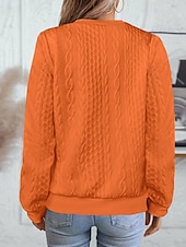 economico Felpe e Sweatshirt Texturizzati-Per donna Felpa con texture Felpe Felpe con cerniera Semplice Streetwear Casual Comodo Manica Lunga Collo Alto Top Regolari Streetwear Ferie Uscire Zip a un quarto Bianco Rosa Vino Rosa scuro Blu