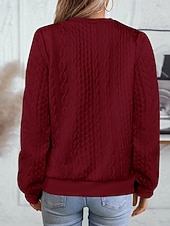 economico Felpe e Sweatshirt Texturizzati-Per donna Felpa con texture Felpe Felpe con cerniera Semplice Streetwear Casual Comodo Manica Lunga Collo Alto Top Regolari Streetwear Ferie Uscire Zip a un quarto Bianco Rosa Vino Rosa scuro Blu