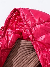abordables Doudounes-Femmes Doudoune Manteau Chaud Confortable Fermeture éclair Avec Poches Mode Uni Fête Sortir Décontracté Quotidien Week-end Fermeture éclair Long À capuche Coupe régulière manche longue Vêtements