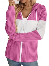 billiga Texturerade Huvtröjor &amp; Sweatshirts-Dam Vinterkappa Bekväm Andningsfunktion Dragkedja Stickad Mode Dagligen Färgblock Utomhus Ledigt Dagligen Dragkedja Normal Huva Normal Långärmad Ytterkläder Svart Rodnande Rosa Grön Vår Höst