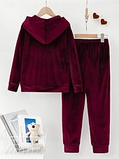 billiga Blusdräkter för kvinnor-Dam Aktiv Streetwear Blus Huvtröja Byxuppsättningar Långärmad Huva Ensfärgat Rynkad Semester Dagliga kläder Rodnande Rosa Vin Blå Höst Normal