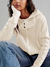 baratos Moletons e Sweatshirts Texturizados-Mulheres Jaqueta casual Casaco com capuz Manter Quente Confortável Zíper Bolsos Moda Ao ar livre Tecido Para Noite Final de semana Zíper Padrão Com Capuz Normal Manga Longa agasalhos Preto Rosa Azul