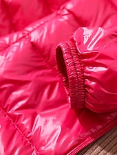 abordables Doudounes-Femmes Doudoune Manteau Chaud Confortable Fermeture éclair Avec Poches Mode Uni Fête Sortir Décontracté Quotidien Week-end Fermeture éclair Long À capuche Coupe régulière manche longue Vêtements