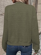 economico Felpe e Sweatshirt Texturizzati-Per donna Giacca Casual Confortevole Traspirante Cerniera Tasca Moda Moderno Casual Semplice Uscire Weekend Cerniera Regolare Collo alla coreana Vestibilità regolare Manica Lunga Capispalla Nero