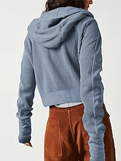 baratos Moletons e Sweatshirts Texturizados-Mulheres Jaqueta casual Casaco com capuz Manter Quente Confortável Zíper Bolsos Moda Ao ar livre Tecido Para Noite Final de semana Zíper Padrão Com Capuz Normal Manga Longa agasalhos Preto Rosa Azul