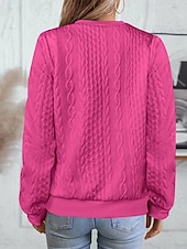 economico Felpe e Sweatshirt Texturizzati-Per donna Felpa con texture Felpe Felpe con cerniera Semplice Streetwear Casual Comodo Manica Lunga Collo Alto Top Regolari Streetwear Ferie Uscire Zip a un quarto Bianco Rosa Vino Rosa scuro Blu