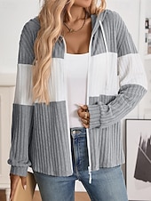 billiga Texturerade Huvtröjor &amp; Sweatshirts-Dam Vinterkappa Bekväm Andningsfunktion Dragkedja Stickad Mode Dagligen Färgblock Utomhus Ledigt Dagligen Dragkedja Normal Huva Normal Långärmad Ytterkläder Svart Rodnande Rosa Grön Vår Höst