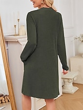 ieftine Rochie Artă și Design-Pentru femei Rochii Midi Rochie hanorac Rochie casual Modă Modern În aer liber Zilnic Sfârșit de săptămână Fit regulat Simplu Manșon Lung În V Negru Roz Îmbujorat Verde Militar Mov Primăvară Toamnă