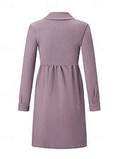 ieftine Rochie simplă-Pentru femei Rochie Mini Rochii Tip Cămașă Clasic Modern În aer liber Vacanță Sfârșit de săptămână Fit regulat Simplu Manșon Lung Guler Cămașă Negru Albastru piscină Mov Kaki Toamnă