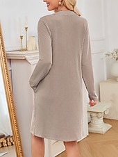 ieftine Rochie Artă și Design-Pentru femei Rochii Midi Rochie hanorac Rochie casual Modă Modern În aer liber Zilnic Sfârșit de săptămână Fit regulat Simplu Manșon Lung În V Negru Roz Îmbujorat Verde Militar Mov Primăvară Toamnă