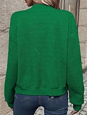 economico Felpe e Sweatshirt Texturizzati-Per donna Giacca Casual Confortevole Traspirante Cerniera Tasca Moda Moderno Casual Semplice Uscire Weekend Cerniera Regolare Collo alla coreana Vestibilità regolare Manica Lunga Capispalla Nero