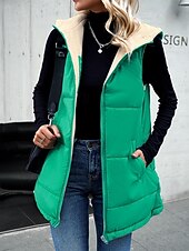 billige Dunvester-Dame Fleece-jakke Fleecevest Teddyfrakk Hold Varm Pustende Glidelås Lomme Fleece Lined Fritid عادي Feriereise Gate Dagligdagstøy Ut på byen Glidelås Normal Hettegenser Normal Ermeløs Yttertøy Gr