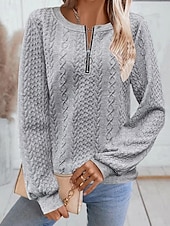 economico Felpe e Sweatshirt Texturizzati-Per donna Felpa con texture Felpe Felpe con cerniera Semplice Streetwear Casual Comodo Manica Lunga Collo Alto Top Regolari Streetwear Ferie Uscire Zip a un quarto Bianco Rosa Vino Rosa scuro Blu