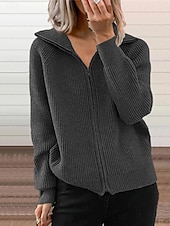 preiswerte Texturierte Kapuzenpullover &amp; Sweatshirts-Damen Wintermantel Bequem Atmungsaktiv Reißverschluss Mode Täglich Einfach Outdoor Lässig Täglich Reisverschluss Regulär Revers Normale Passform Langarm Oberbekleidung Schwarz Weiß Blau Frühling