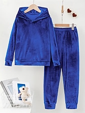 billiga Blusdräkter för kvinnor-Dam Aktiv Streetwear Blus Huvtröja Byxuppsättningar Långärmad Huva Ensfärgat Rynkad Semester Dagliga kläder Rodnande Rosa Vin Blå Höst Normal