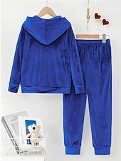 billiga Blusdräkter för kvinnor-Dam Aktiv Streetwear Blus Huvtröja Byxuppsättningar Långärmad Huva Ensfärgat Rynkad Semester Dagliga kläder Rodnande Rosa Vin Blå Höst Normal