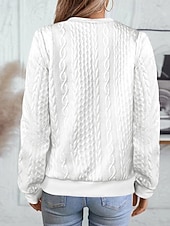 economico Felpe e Sweatshirt Texturizzati-Per donna Felpa con texture Felpe Felpe con cerniera Semplice Streetwear Casual Comodo Manica Lunga Collo Alto Top Regolari Streetwear Ferie Uscire Zip a un quarto Bianco Rosa Vino Rosa scuro Blu