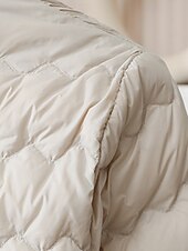 ieftine Jachete din puf-Pentru femei Fâș Cald Comfortabil Nasturi Modă Simplu Ieșire Sfârșit de săptămână Cu Un Nasture Regulat Crewneck Fit regulat Manșon Lung Îmbrăcăminte exterioară Roz Deschis Albastru Deschis Alb