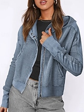 baratos Moletons e Sweatshirts Texturizados-Mulheres Jaqueta casual Casaco com capuz Manter Quente Confortável Zíper Bolsos Moda Ao ar livre Tecido Para Noite Final de semana Zíper Padrão Com Capuz Normal Manga Longa agasalhos Preto Rosa Azul