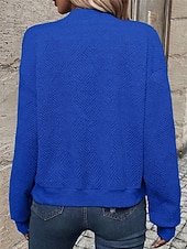 economico Felpe e Sweatshirt Texturizzati-Per donna Giacca Casual Confortevole Traspirante Cerniera Tasca Moda Moderno Casual Semplice Uscire Weekend Cerniera Regolare Collo alla coreana Vestibilità regolare Manica Lunga Capispalla Nero