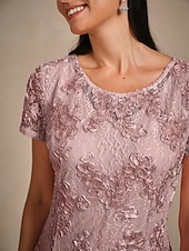 billiga Nyårsklänningar-Dam Maxiklänning Sheath Dress Elegant party cocktail Normal Ensfärgat Kortärmad Rund hals Blush Pink