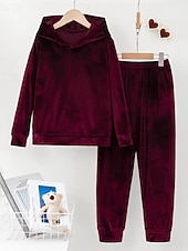 billiga Blusdräkter för kvinnor-Dam Aktiv Streetwear Blus Huvtröja Byxuppsättningar Långärmad Huva Ensfärgat Rynkad Semester Dagliga kläder Rodnande Rosa Vin Blå Höst Normal