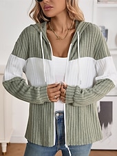 billiga Texturerade Huvtröjor &amp; Sweatshirts-Dam Vinterkappa Bekväm Andningsfunktion Dragkedja Stickad Mode Dagligen Färgblock Utomhus Ledigt Dagligen Dragkedja Normal Huva Normal Långärmad Ytterkläder Svart Rodnande Rosa Grön Vår Höst